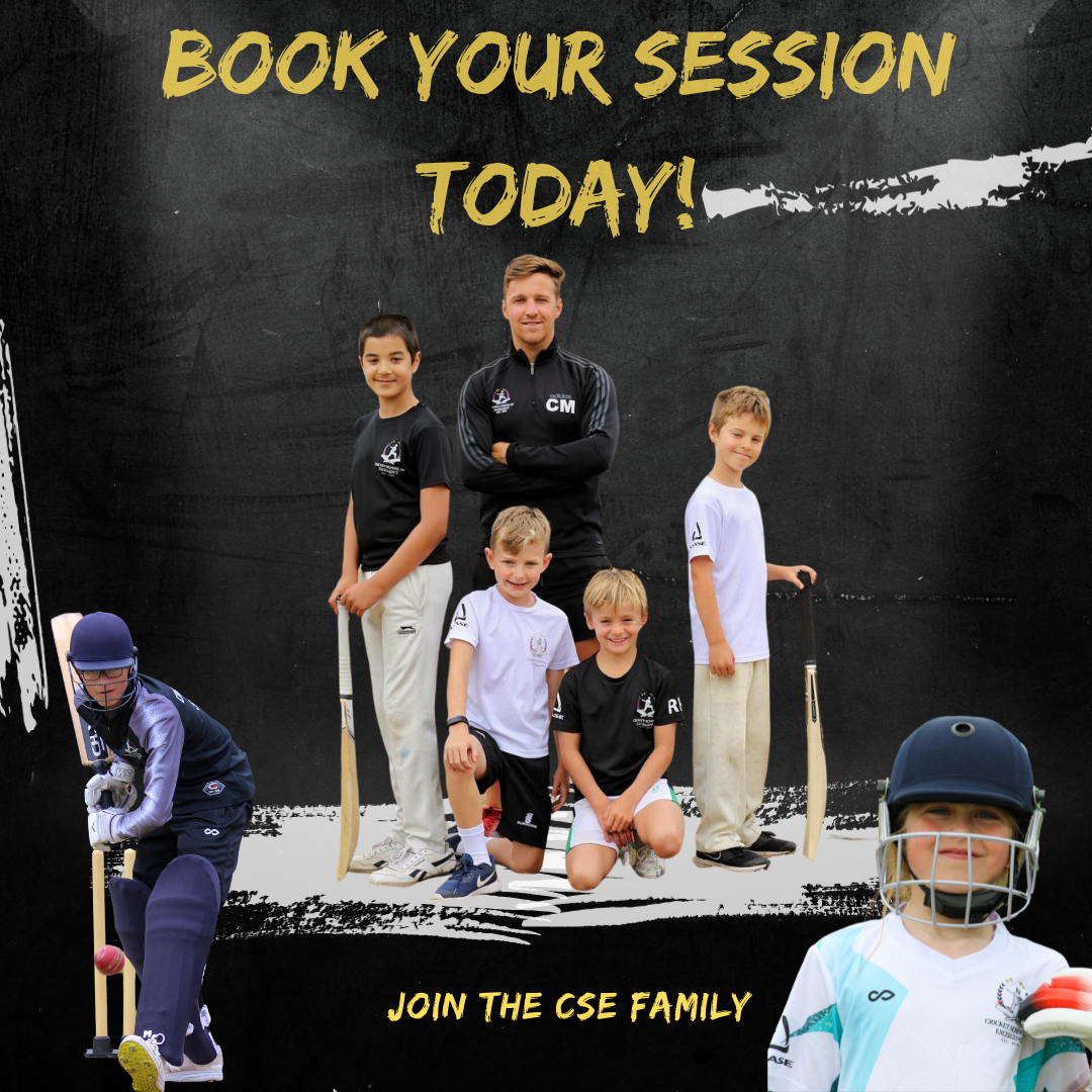 PRIVATE COACHING (DAVENIES SCHOOL) – Cricket School Of Excellence