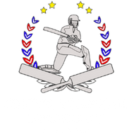 Cricket School Of Excellence